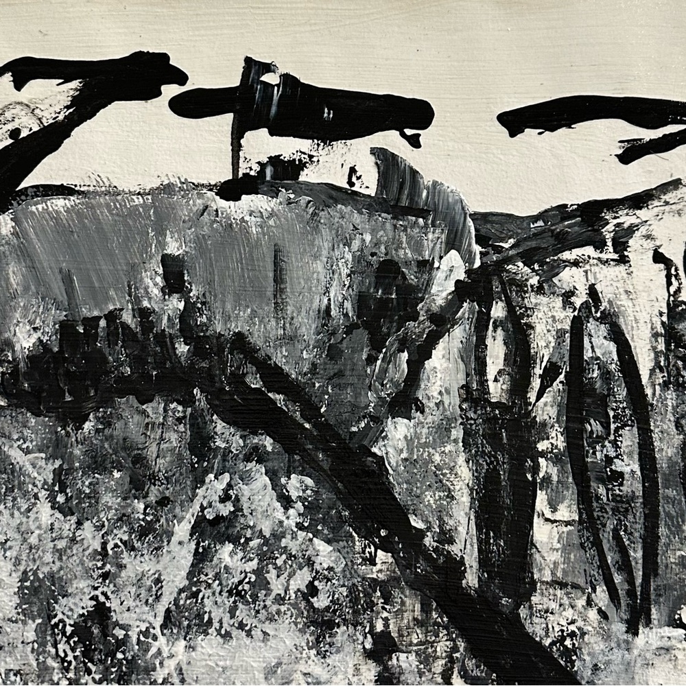 Abstract Art Print  Jan Perez  SoCal Beaches Collection Sunset Cliffs  B&W Photo